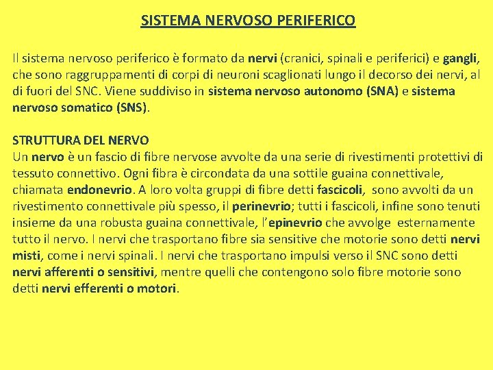 SISTEMA NERVOSO PERIFERICO Il sistema nervoso periferico è formato da nervi (cranici, spinali e