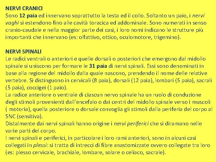 NERVI CRANICI Sono 12 paia ed innervano soprattutto la testa ed il collo. Soltanto