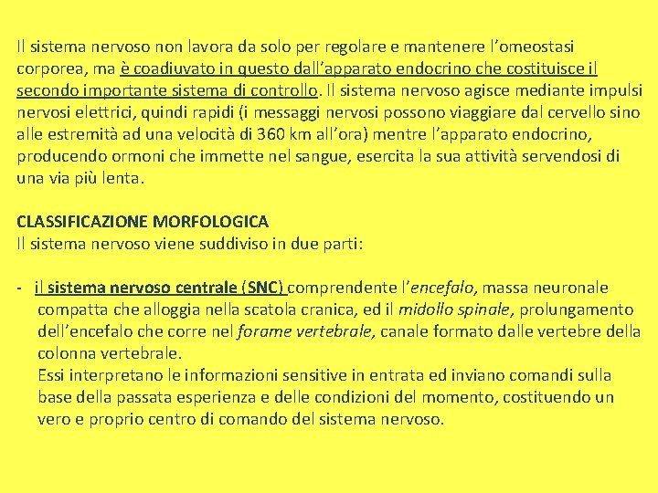 Il sistema nervoso non lavora da solo per regolare e mantenere l’omeostasi corporea, ma