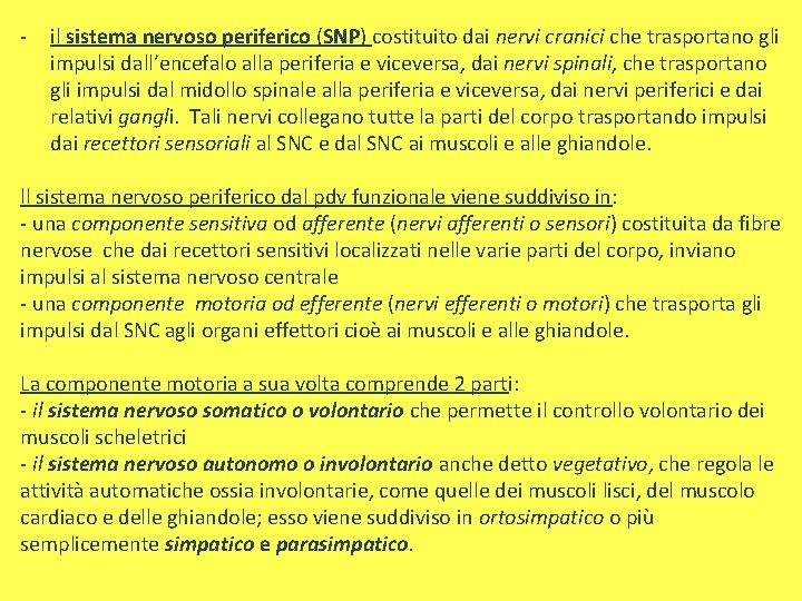 - il sistema nervoso periferico (SNP) costituito dai nervi cranici che trasportano gli impulsi