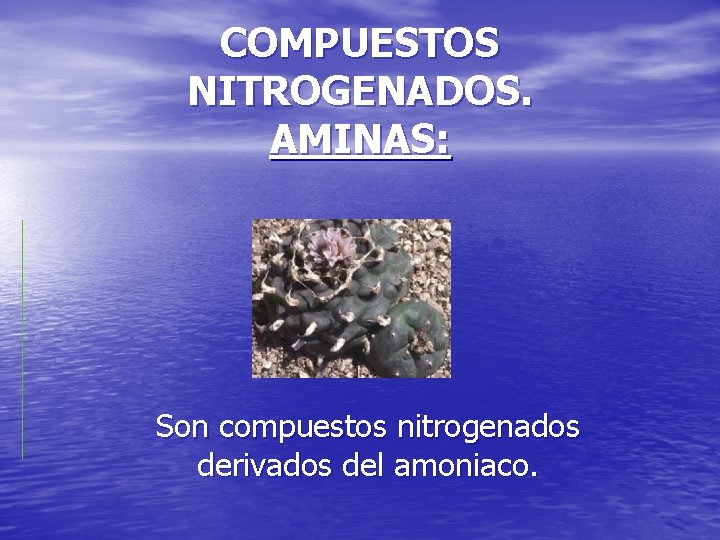 COMPUESTOS NITROGENADOS. AMINAS: Son compuestos nitrogenados derivados del amoniaco. 