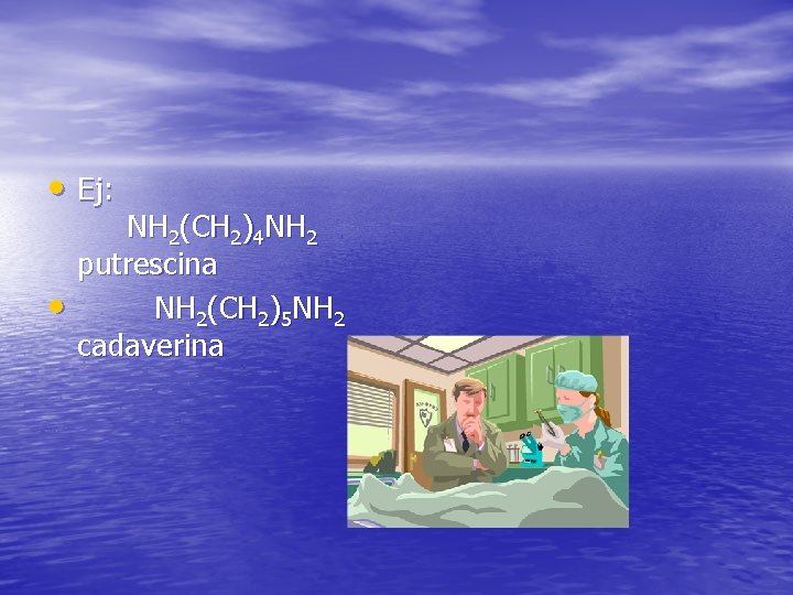  • Ej: • NH 2(CH 2)4 NH 2 putrescina NH 2(CH 2)5 NH