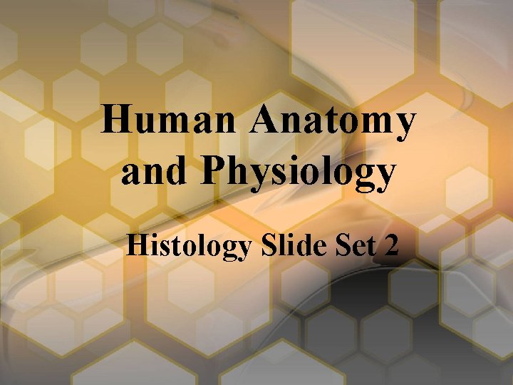 Human Anatomy and Physiology Histology Slide Set 2 