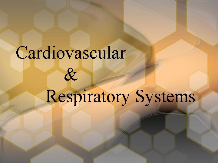 Cardiovascular & Respiratory Systems 