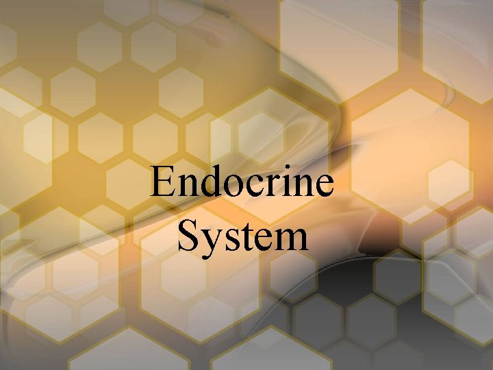 Endocrine System 