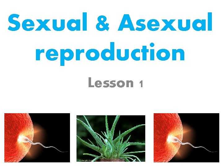 Sexual & Asexual reproduction Lesson 1 