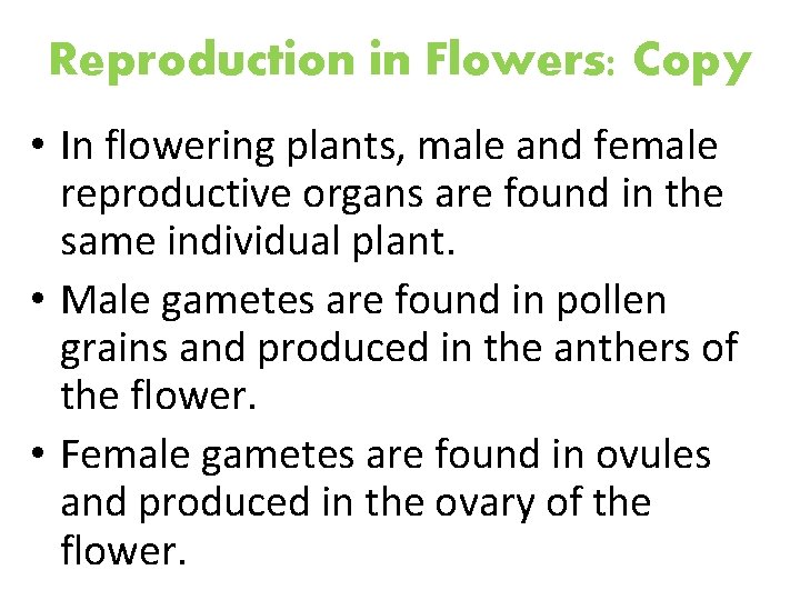 Reproduction in Flowers: Copy • In flowering plants, male and female reproductive organs are