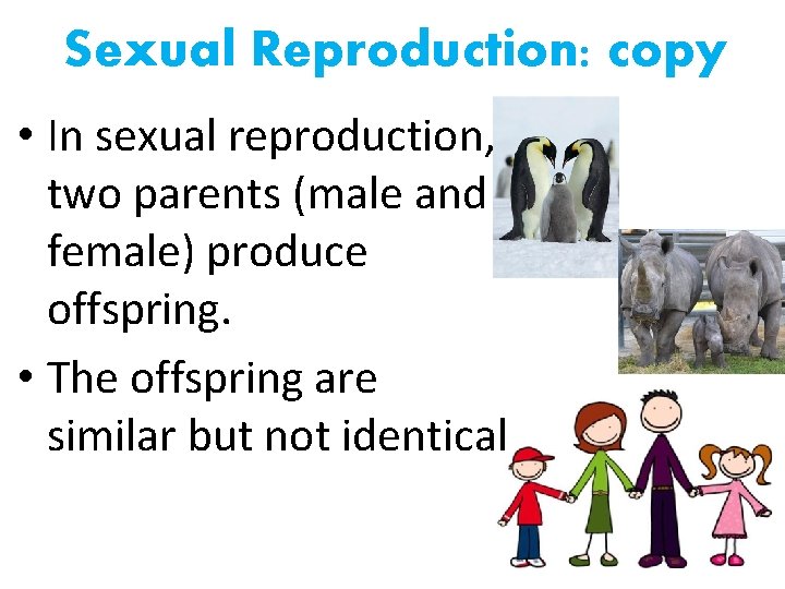 Sexual Reproduction: copy • In sexual reproduction, two parents (male and female) produce offspring.