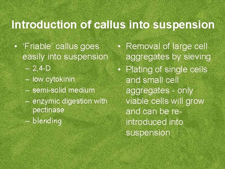 Introduction of callus into suspension • ‘Friable’ callus goes easily into suspension – –