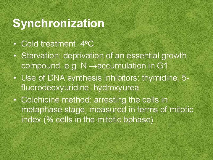 Synchronization • Cold treatment: 4 o. C • Starvation: deprivation of an essential growth