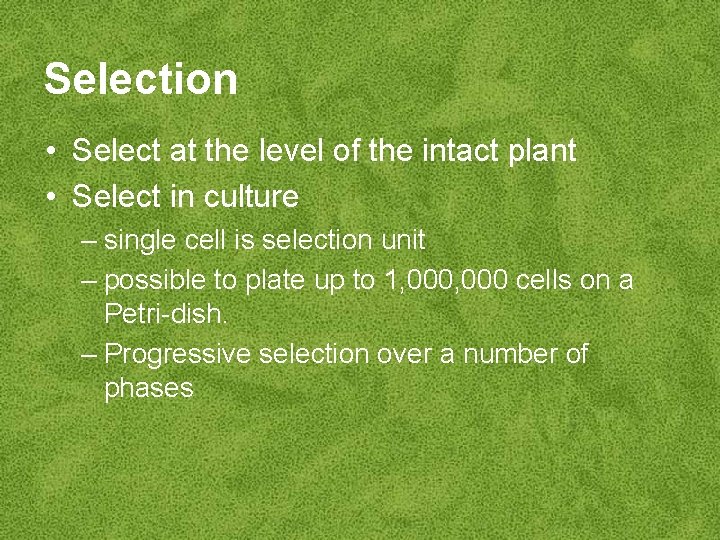 Selection • Select at the level of the intact plant • Select in culture