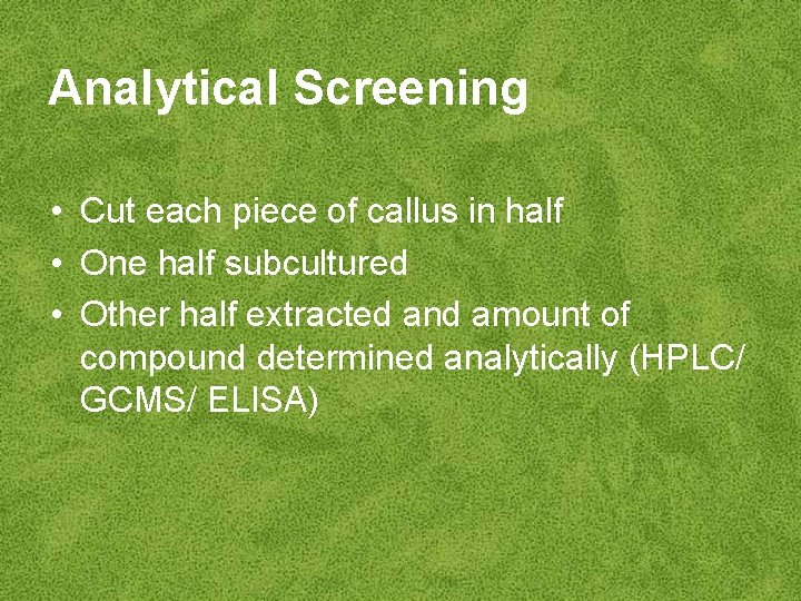 Analytical Screening • Cut each piece of callus in half • One half subcultured