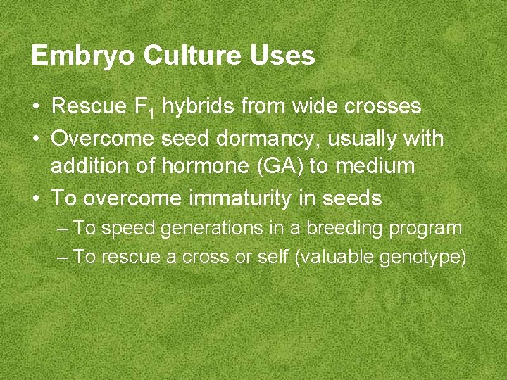 Embryo Culture Uses • Rescue F 1 hybrids from wide crosses • Overcome seed