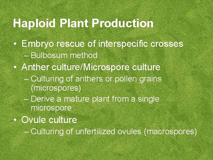 Haploid Plant Production • Embryo rescue of interspecific crosses – Bulbosum method • Anther