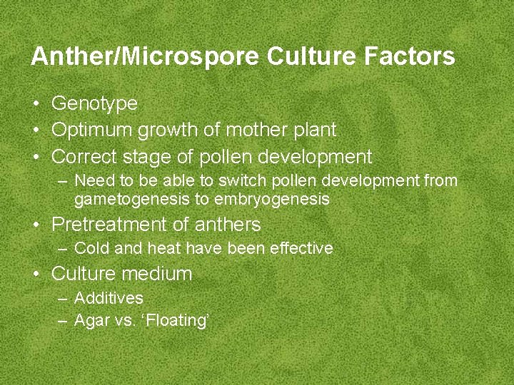 Anther/Microspore Culture Factors • Genotype • Optimum growth of mother plant • Correct stage