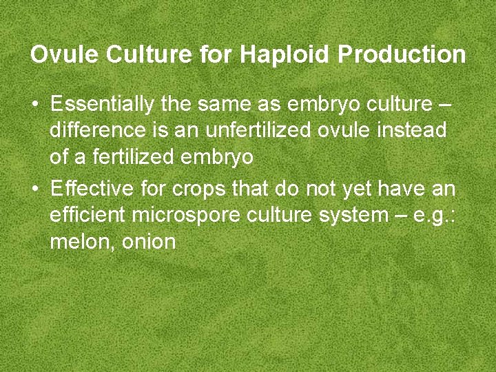 Ovule Culture for Haploid Production • Essentially the same as embryo culture – difference