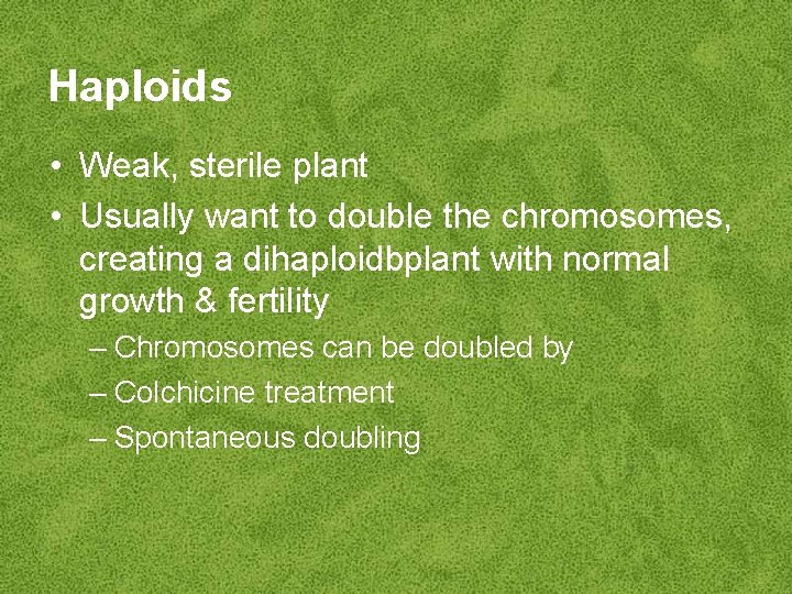 Haploids • Weak, sterile plant • Usually want to double the chromosomes, creating a
