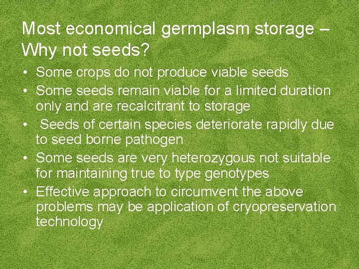 Most economical germplasm storage – Why not seeds? • Some crops do not produce