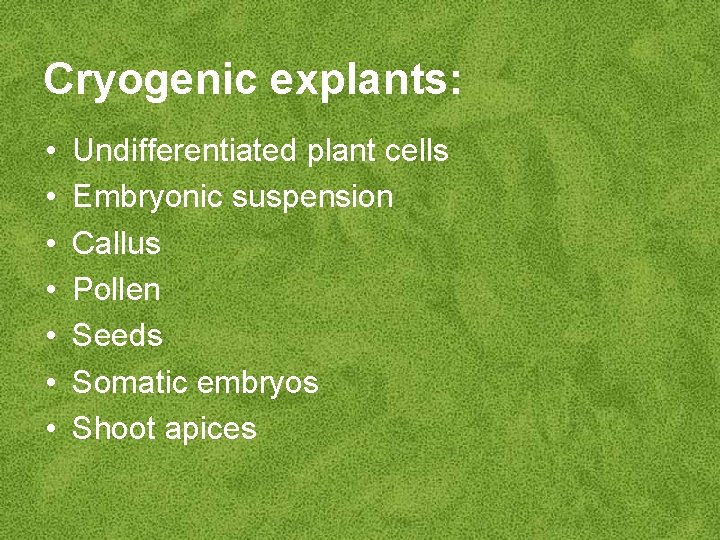 Cryogenic explants: • • Undifferentiated plant cells Embryonic suspension Callus Pollen Seeds Somatic embryos