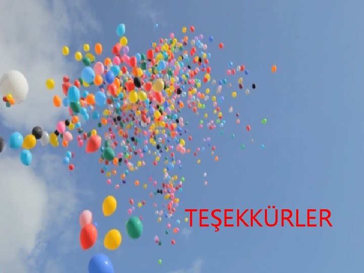 TEŞEKKÜRLER 