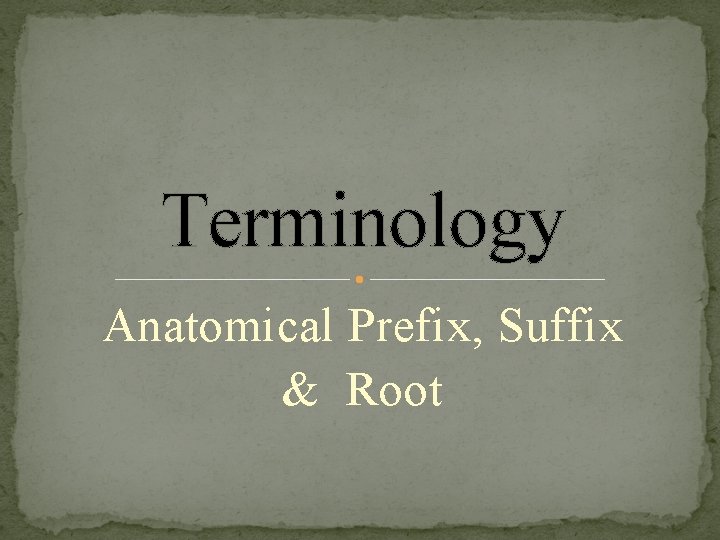 Terminology Anatomical Prefix, Suffix & Root 