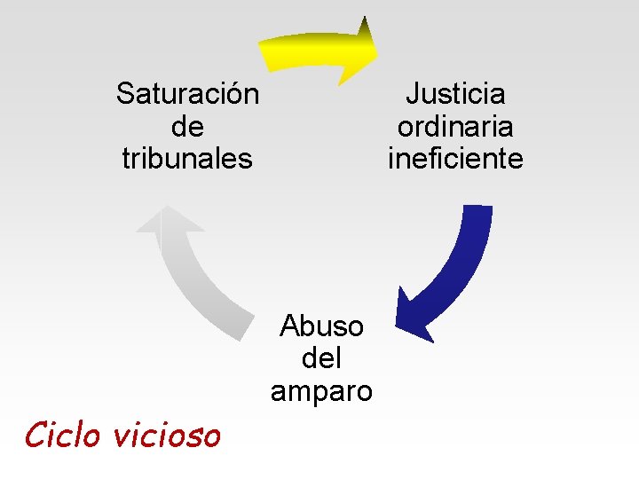 Saturación de tribunales Justicia ordinaria ineficiente Abuso del amparo Ciclo vicioso 