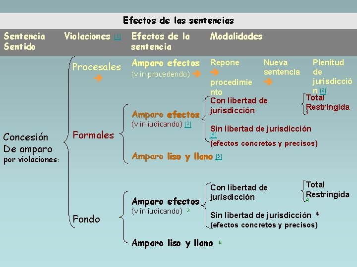 Efectos de las sentencias Sentencia Sentido Violaciones [1] Procesales Efectos de la sentencia Amparo
