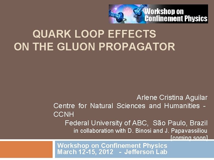 QUARK LOOP EFFECTS ON THE GLUON PROPAGATOR Arlene Cristina Aguilar Centre for Natural Sciences