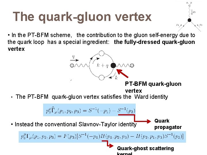 The quark-gluon vertex • In the PT-BFM scheme, the contribution to the gluon self-energy
