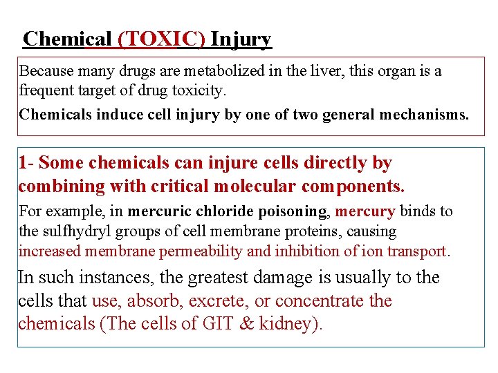Chemical (TOXIC) Injury Because many drugs are metabolized in the liver, this organ is