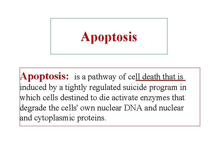 Apoptosis: is a pathway of cell death that is induced by a tightly regulated