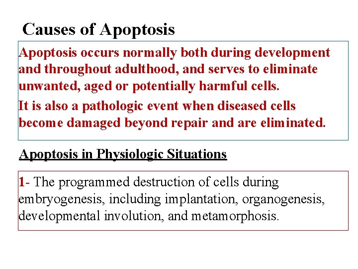 Causes of Apoptosis occurs normally both during development and throughout adulthood, and serves to