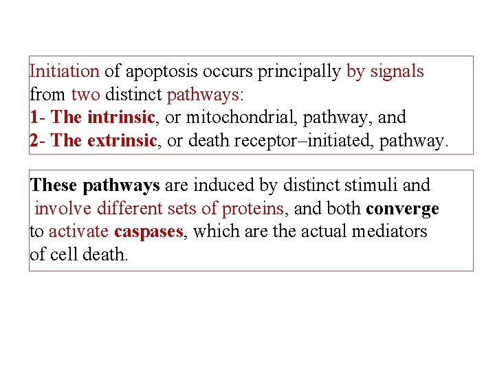 Initiation of apoptosis occurs principally by signals from two distinct pathways: 1 - The