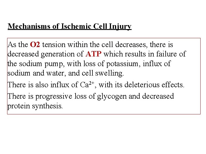 Mechanisms of Ischemic Cell Injury As the O 2 tension within the cell decreases,