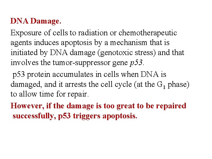 DNA Damage. Exposure of cells to radiation or chemotherapeutic agents induces apoptosis by a