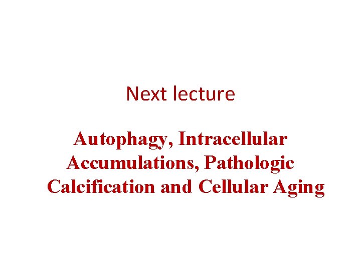 Next lecture Autophagy, Intracellular Accumulations, Pathologic Calcification and Cellular Aging 