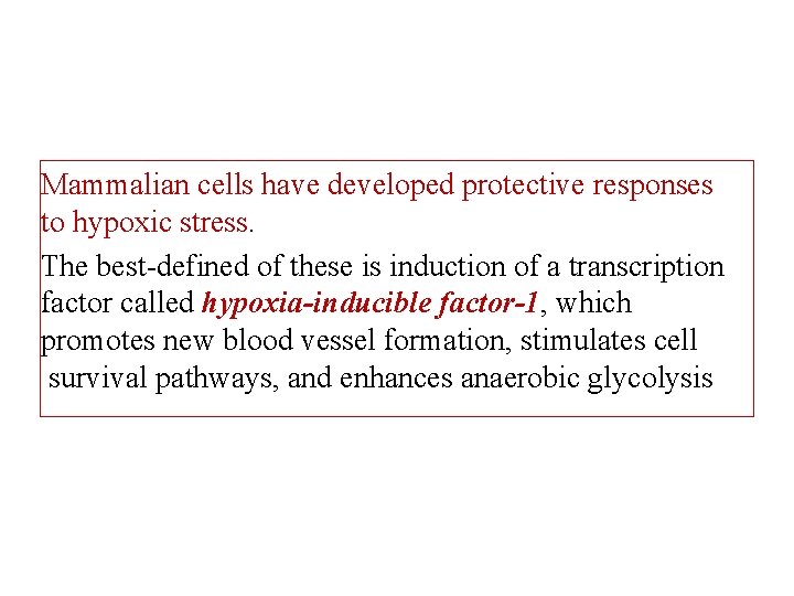 Mammalian cells have developed protective responses to hypoxic stress. The best-defined of these is