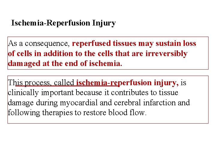 Ischemia-Reperfusion Injury As a consequence, reperfused tissues may sustain loss of cells in addition