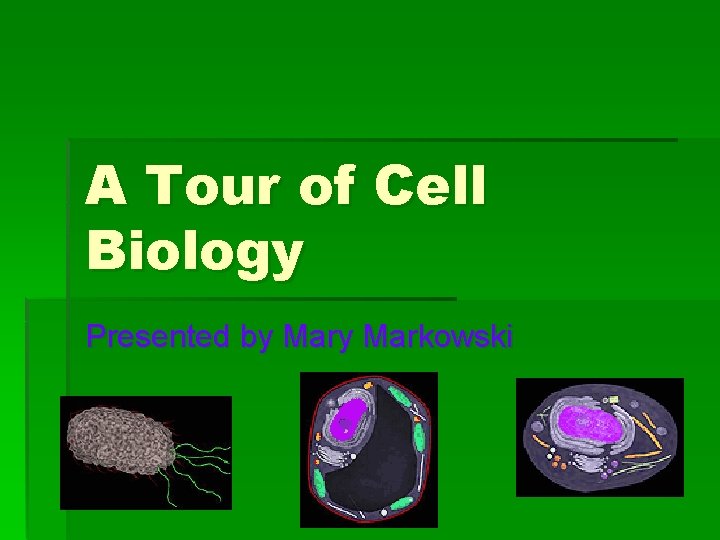 A Tour of Cell Biology Presented by Markowski 