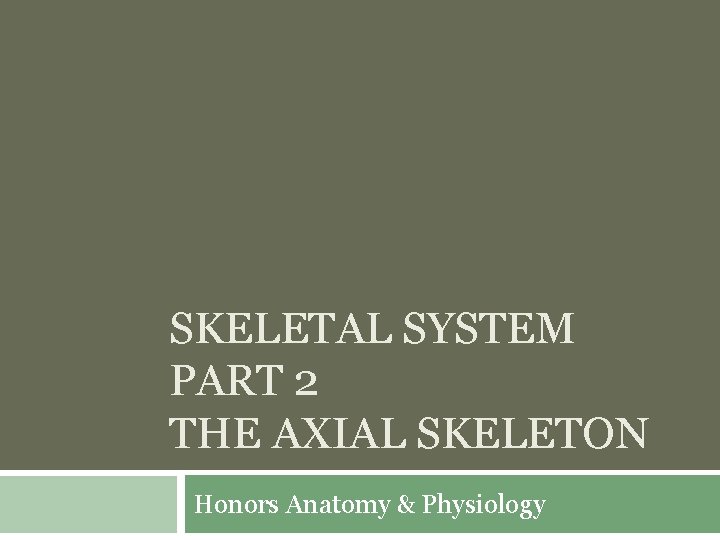 SKELETAL SYSTEM PART 2 THE AXIAL SKELETON Honors Anatomy & Physiology 