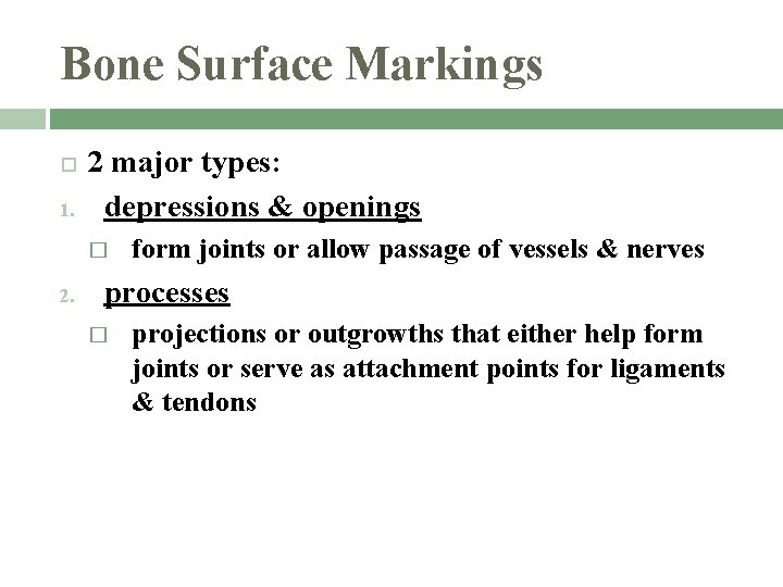 Bone Surface Markings 1. 2 major types: depressions & openings � 2. form joints