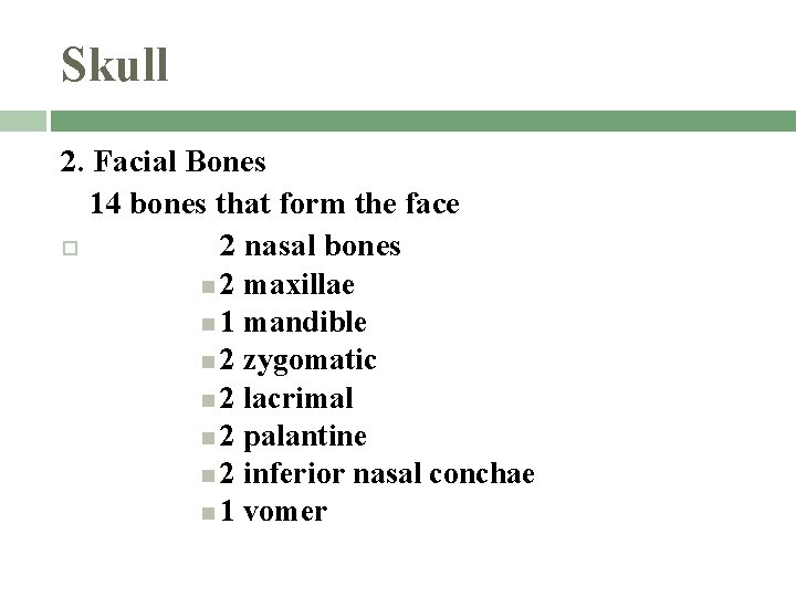 Skull 2. Facial Bones 14 bones that form the face 2 nasal bones 2