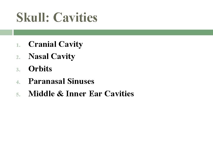 Skull: Cavities 1. 2. 3. 4. 5. Cranial Cavity Nasal Cavity Orbits Paranasal Sinuses