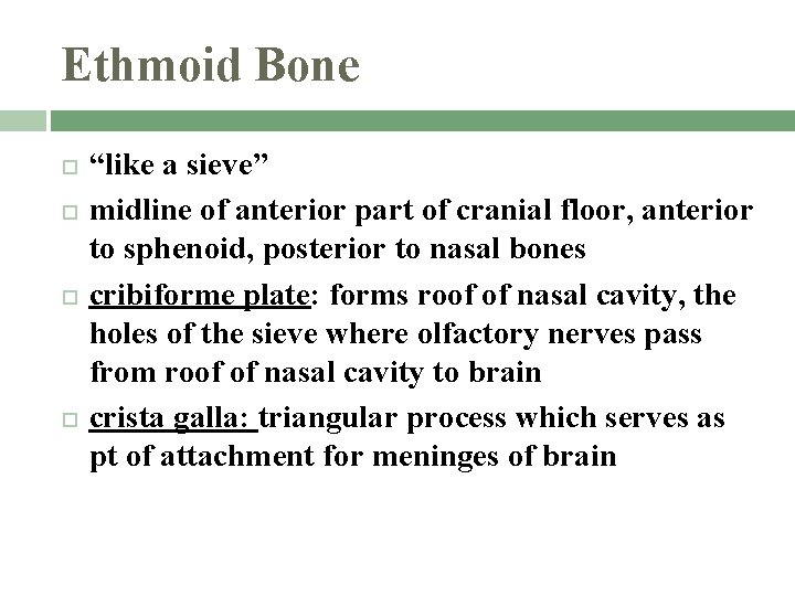 Ethmoid Bone “like a sieve” midline of anterior part of cranial floor, anterior to