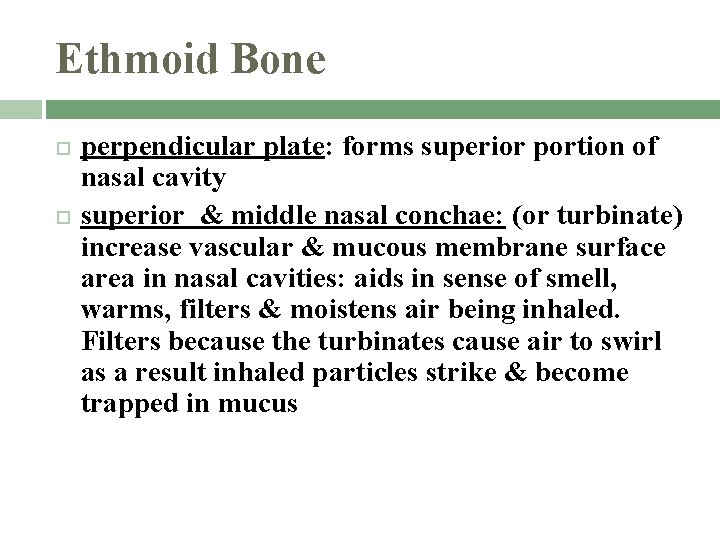 Ethmoid Bone perpendicular plate: forms superior portion of nasal cavity superior & middle nasal
