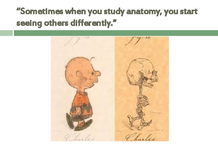 “Sometimes when you study anatomy, you start seeing others differently. ” 