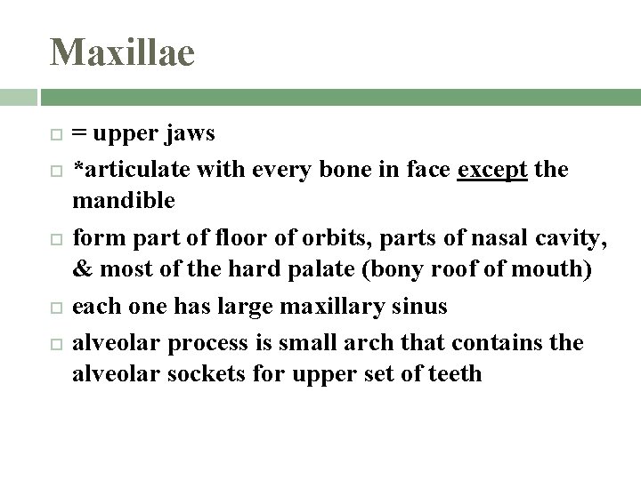 Maxillae = upper jaws *articulate with every bone in face except the mandible form