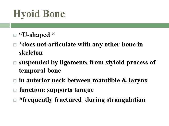 Hyoid Bone “U-shaped “ *does not articulate with any other bone in skeleton suspended