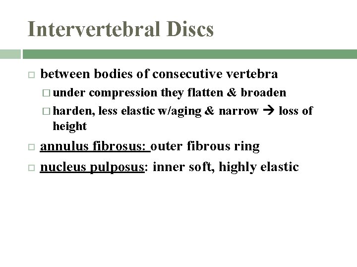 Intervertebral Discs between bodies of consecutive vertebra � under compression they flatten & broaden