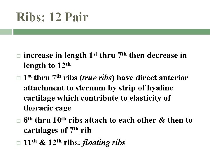 Ribs: 12 Pair increase in length 1 st thru 7 th then decrease in